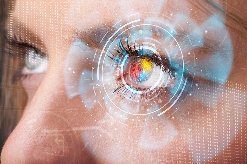 What AI Systems Actually See When They Read Your Website